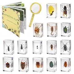 Insect specimens real for sale  Delivered anywhere in USA 