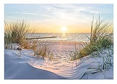 Wallarena fototapete strand gebraucht kaufen  Wird an jeden Ort in Deutschland