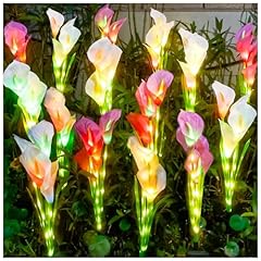 Dooyard solar calla for sale  Delivered anywhere in UK