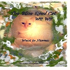 Blue eyed cat for sale  Delivered anywhere in USA 