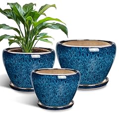 Epfamily ceramic plant for sale  Delivered anywhere in USA 