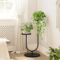 Gentingbro tall plant for sale  Delivered anywhere in USA 