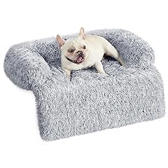 puppy chien d'occasion puppy chien d'occasion Livré partout en France