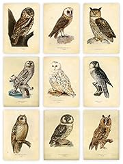 Ink inc. owl for sale  Delivered anywhere in USA 