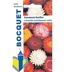 Sachet graines immortelle d'occasion  Livré partout en France