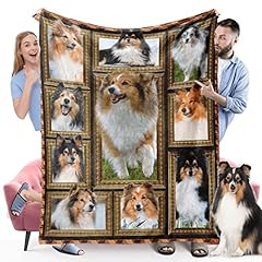 Sheltie shetland sheepdog for sale  Delivered anywhere in USA 