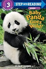 Baby panda goes usato  Spedito ovunque in Italia 