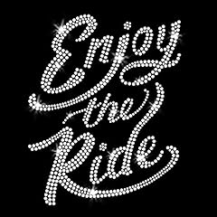 Enjoy the ride for sale  Delivered anywhere in USA 