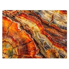 Petrified wood grain for sale  Delivered anywhere in USA 