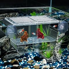 Pawfly acquario pesci usato  Spedito ovunque in Italia 