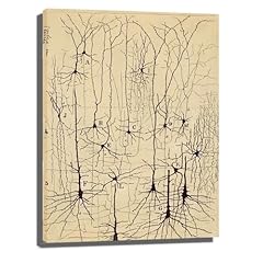 Vintage neuron drawing for sale  Delivered anywhere in USA 