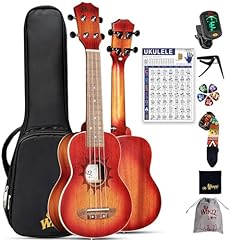 Winzz ukulele sopran gebraucht kaufen  Wird an jeden Ort in Deutschland