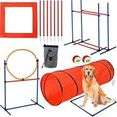 Dog agile training for sale  Delivered anywhere in USA 