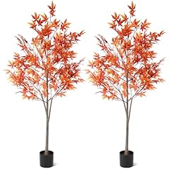 Daifunli pcs 5ft for sale  Delivered anywhere in USA 