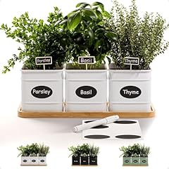 Herb planter indoor for sale  Delivered anywhere in USA 