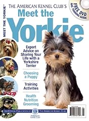 Meet yorkie for sale  Delivered anywhere in USA 