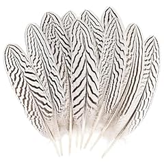 Daieeparty 12pcs silver for sale  Delivered anywhere in USA 