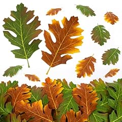Rainflow 40pcs thanksgiving for sale  Delivered anywhere in USA 