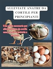 Alleviate anatre cortile usato  Spedito ovunque in Italia 