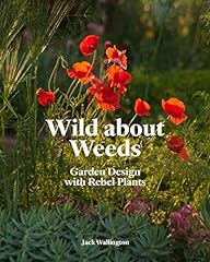 Wild weeds garden for sale  Delivered anywhere in USA 