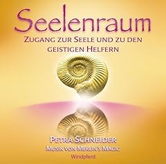 Seelenraum zugang zur gebraucht kaufen  Wird an jeden Ort in Deutschland