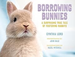 Borrowing bunnies surprising for sale  Delivered anywhere in USA 