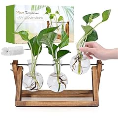 Renmxj plant propagation for sale  Delivered anywhere in USA 