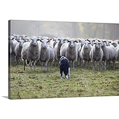 Flock sheep facing for sale  Delivered anywhere in USA 