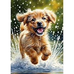 Daerle splash adorable for sale  Delivered anywhere in UK