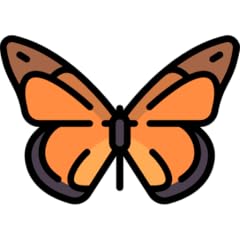 Butterfly collection for sale  Delivered anywhere in UK