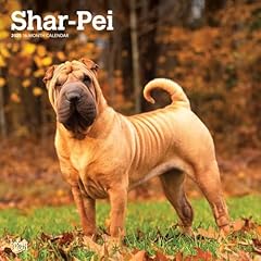 Shar pei 2025 for sale  Delivered anywhere in USA 