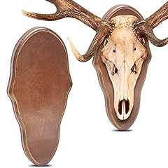 Pcs deer skull for sale  Delivered anywhere in USA 