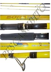 Canna pesca surfcasting usato  Spedito ovunque in Italia 