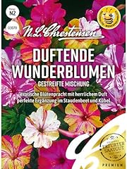 Wunderblume gestreifte mischun gebraucht kaufen  Wird an jeden Ort in Deutschland