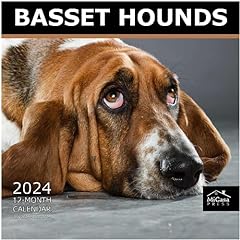 Micasa basset hounds for sale  Delivered anywhere in USA 