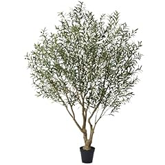 Verinatural olive tree for sale  Delivered anywhere in USA 