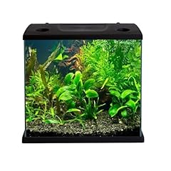 Aquariumline cleo plus usato  Spedito ovunque in Italia 