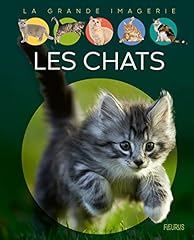 chaton norvegien d'occasion chaton norvegien d'occasion Livré partout en France