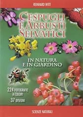 Cespugli arbusti selvatici usato  Spedito ovunque in Italia 