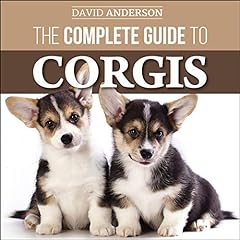 Complete guide corgis for sale  Delivered anywhere in USA 