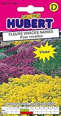 Mélange graines fleurs d'occasion  Livré partout en France