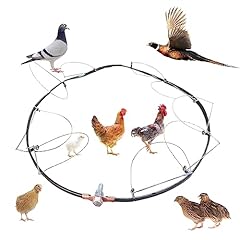 Buakaw bird trap for sale  Delivered anywhere in USA 