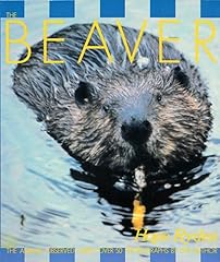 The beaver d'occasion  Livré partout en France