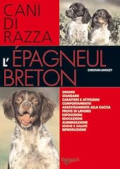 Epagneul breton. cani usato  Spedito ovunque in Italia 