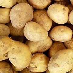 Seed potatoes sharpes for sale  Delivered anywhere in UK