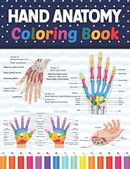 Hand anatomy coloring for sale  Delivered anywhere in UK