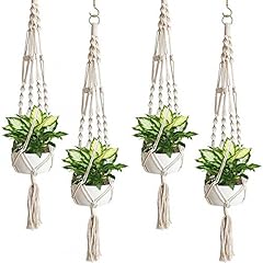 Sorbus macrame plant for sale  Delivered anywhere in USA 