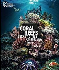 Coral reefs secret for sale  Delivered anywhere in UK
