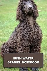 Irish water spaniel for sale  Delivered anywhere in UK