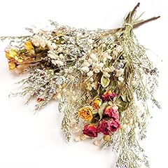 Brevoga dried flower for sale  Delivered anywhere in USA 
